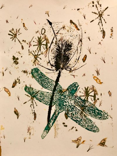 Teasel by Sarah Thompson Engels